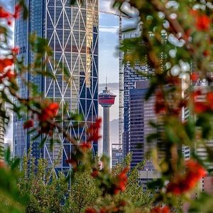 Image post by @cityofcalgary on Instagram