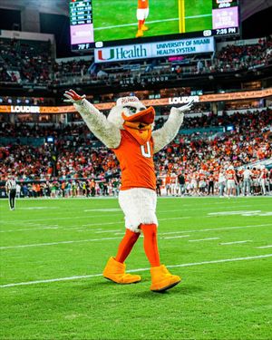 Image post by @um_sebastian on Instagram