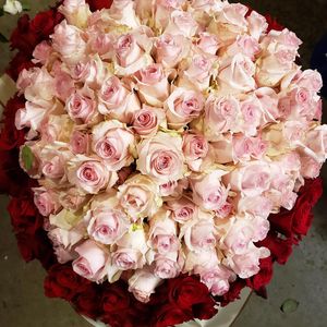 Image post by @flowergardenatl on Instagram