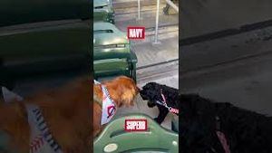 Video post by @twins on YouTube