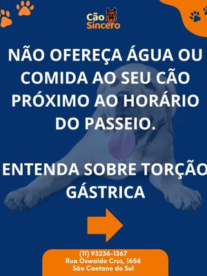 Image post by @adestradores.caosincero on Instagram