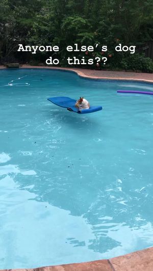 Video post by @MTZLER on Facebook