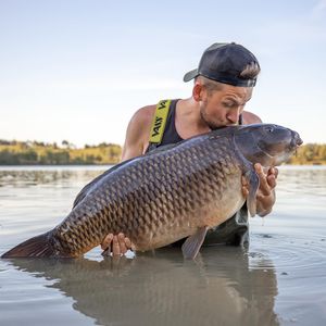 Image post by @brothercarp on Instagram