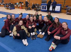 Image post by @stow_gymnastics on Instagram