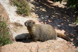 Image post by @visitpikespeak on Instagram