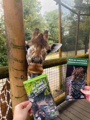Image post by @bhamzoo on Instagram