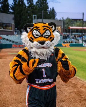 Image post by @pacifictigers on Instagram