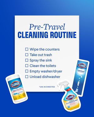 Image post by @clorox on Instagram