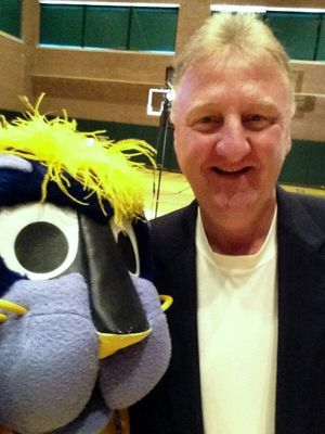 Image post by @PacersBoomer on Twitter