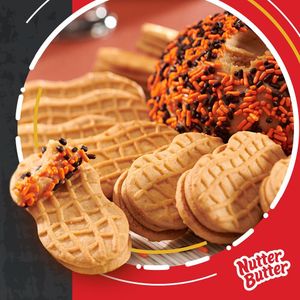Image post by @nabiscosnacks on Instagram
