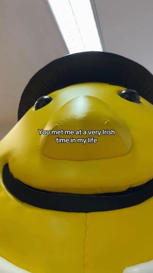 Video post by @mrtaytoireland on TikTok