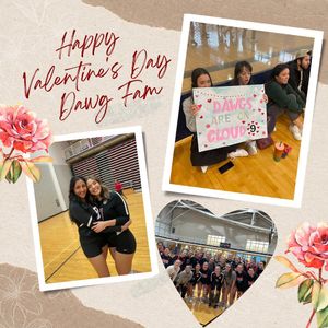 Image post by @ugaclubvolleyball on Instagram