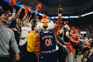 Image post by @aubiethetiger01 on Instagram