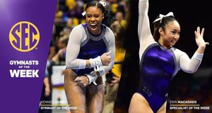 Image post by @lsugym on Instagram