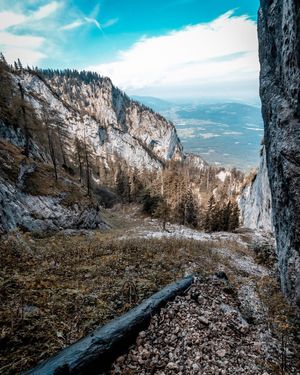 Image post by @cristan.nature.photography on Instagram