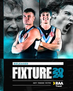 Image post by @PAFC on Twitter
