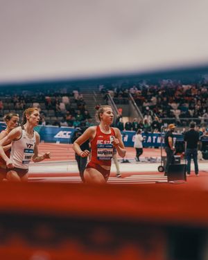 Image post by @wolfpack_tf_xc on Instagram