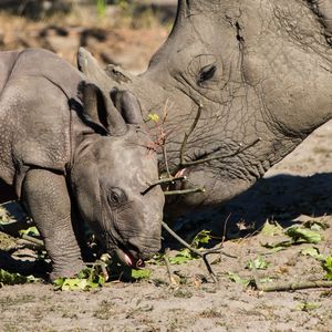 Image post by @discovery on Instagram