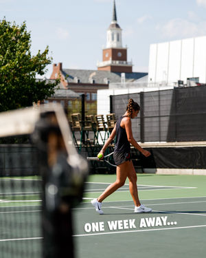 Image post by @gobearcatswten on Instagram