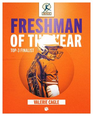 Image post by @clemsonsoftball on Instagram
