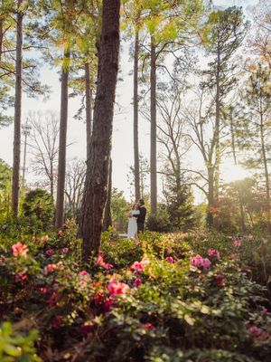 Image post by @sydneybphotography on Instagram