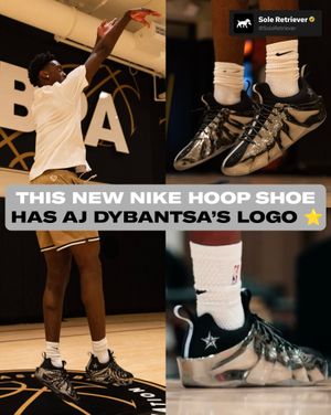 Image post by @soleretriever on Instagram