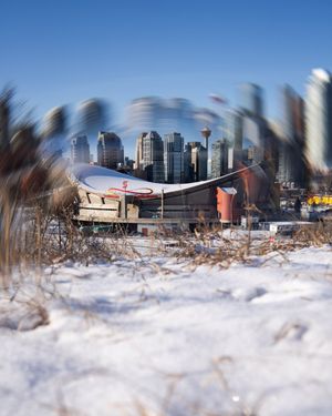 Image post by @AnaheimDucks on Twitter