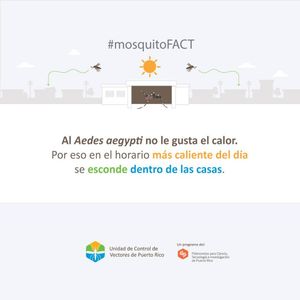 Image post by @prvectorcontrol on Instagram