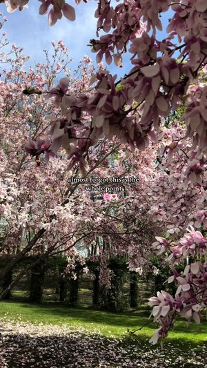 Video post by @kate.liaaa on TikTok