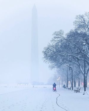 Image post by @popville on Instagram
