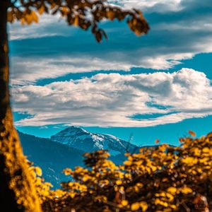 Image post by @cristan.nature.photography on Instagram