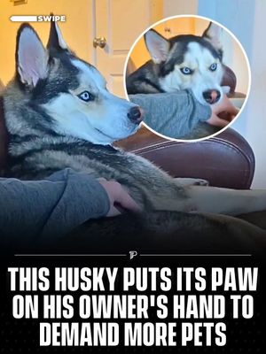 Image post by @pubity on Instagram