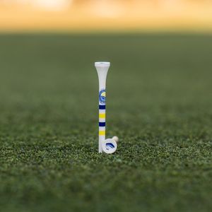 Image post by @evolvegolf on Twitter