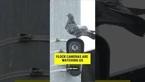 Video post by @vox on YouTube