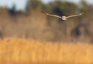 Image post by @huntsphotovideo on Instagram