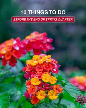 Image post by @uofdenver on Instagram