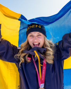 Image post by @swedense on Instagram