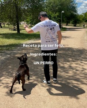 Image post by @alfredoclaudiog on Instagram