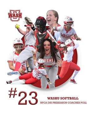 Image post by @washusoftball on Instagram