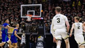 Image post by @bonniewittvideo on Instagram