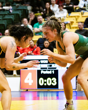 Image post by @huskieathletics on Instagram