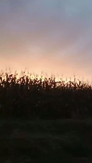 Video post by @alyshiafaith on Instagram