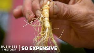 Video post by @businessinsider on YouTube