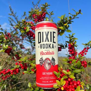 Image post by @dixievodka on Instagram