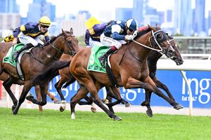Image post by @flemingtonvrc on Instagram