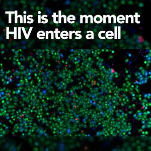 Image post by @biohub on Instagram