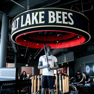 Image post by @saltlakebees on Instagram