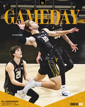 Image post by @lbsumvb on Instagram