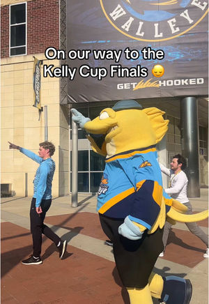 Video post by @toledo_walleye on TikTok