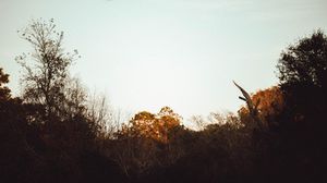 Image post by @brandonlarochelleproductions on Instagram